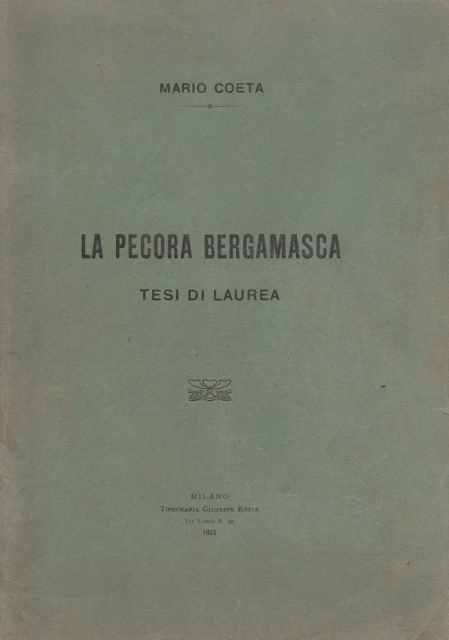 Tesi_Coeta (449x640)