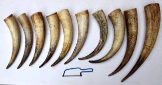 14907162_1060595754039114_3824285481985736057_n