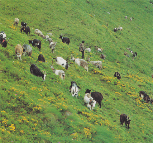 digitalizzato_20161011-3