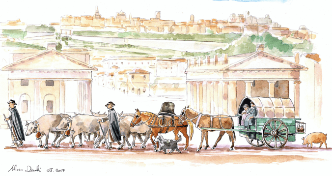 DUSATTI_DISEGNO_BERGAMINI_2017_TESTO